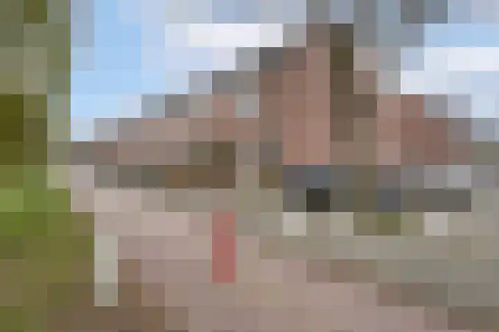 Paardebloem 10 Rijnsburg thumbnail 34