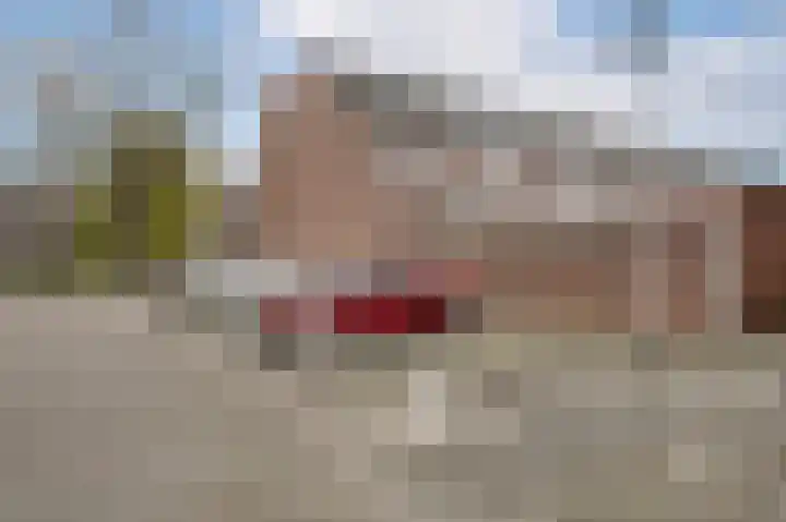 Paardebloem 10 Rijnsburg thumbnail 35
