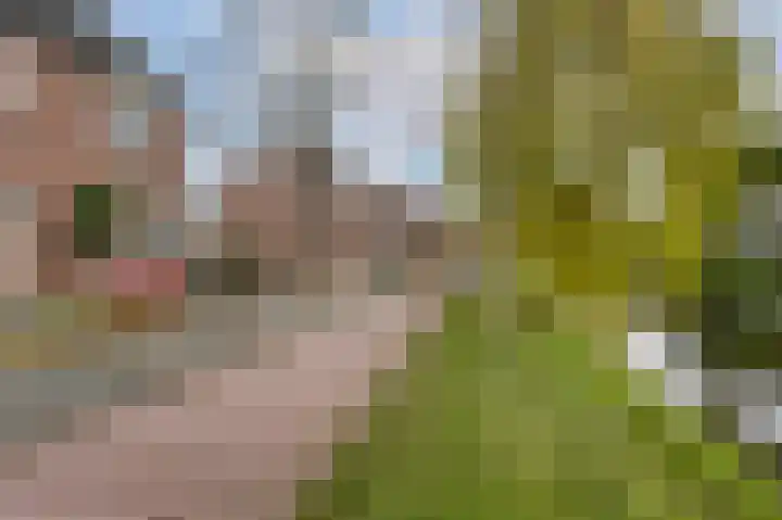 Paardebloem 10 Rijnsburg thumbnail 37