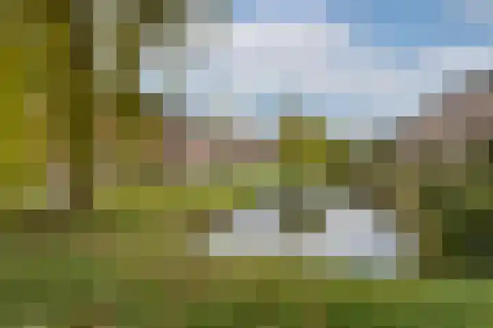Paardebloem 10 Rijnsburg thumbnail 38