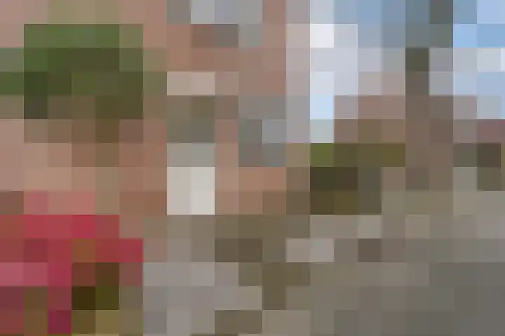 Paardebloem 10 Rijnsburg thumbnail 5