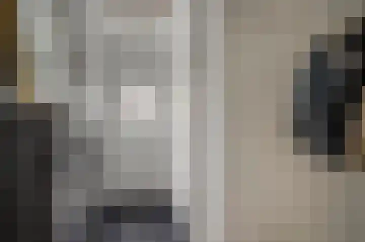Paardebloem 10 Rijnsburg thumbnail 6