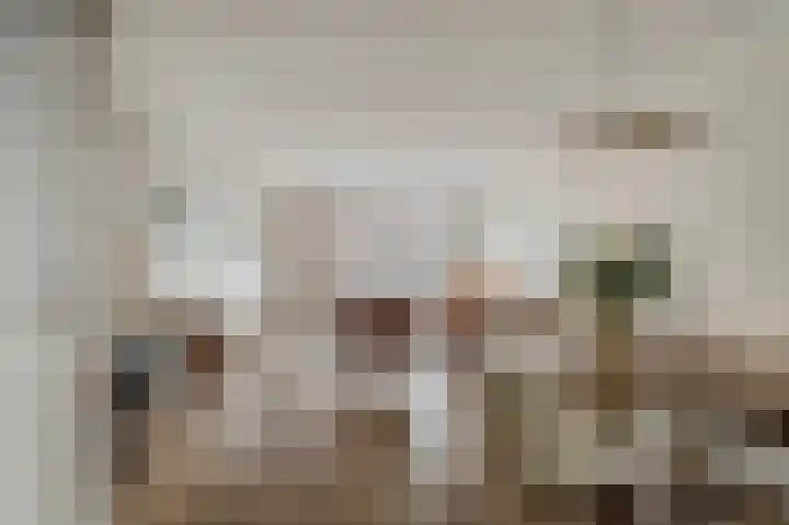 Paardebloem 10 Rijnsburg thumbnail 9