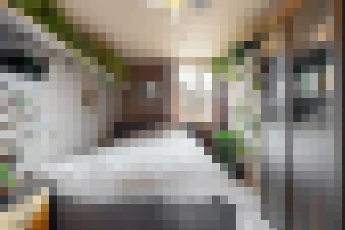 Paardebloem 10 Zwaag thumbnail 19