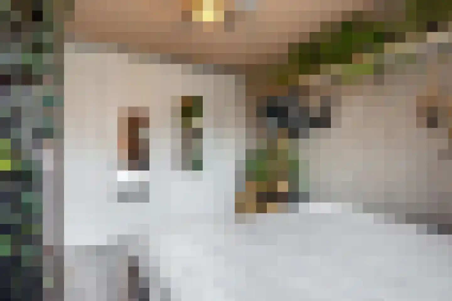Paardebloem 10 Zwaag thumbnail 20