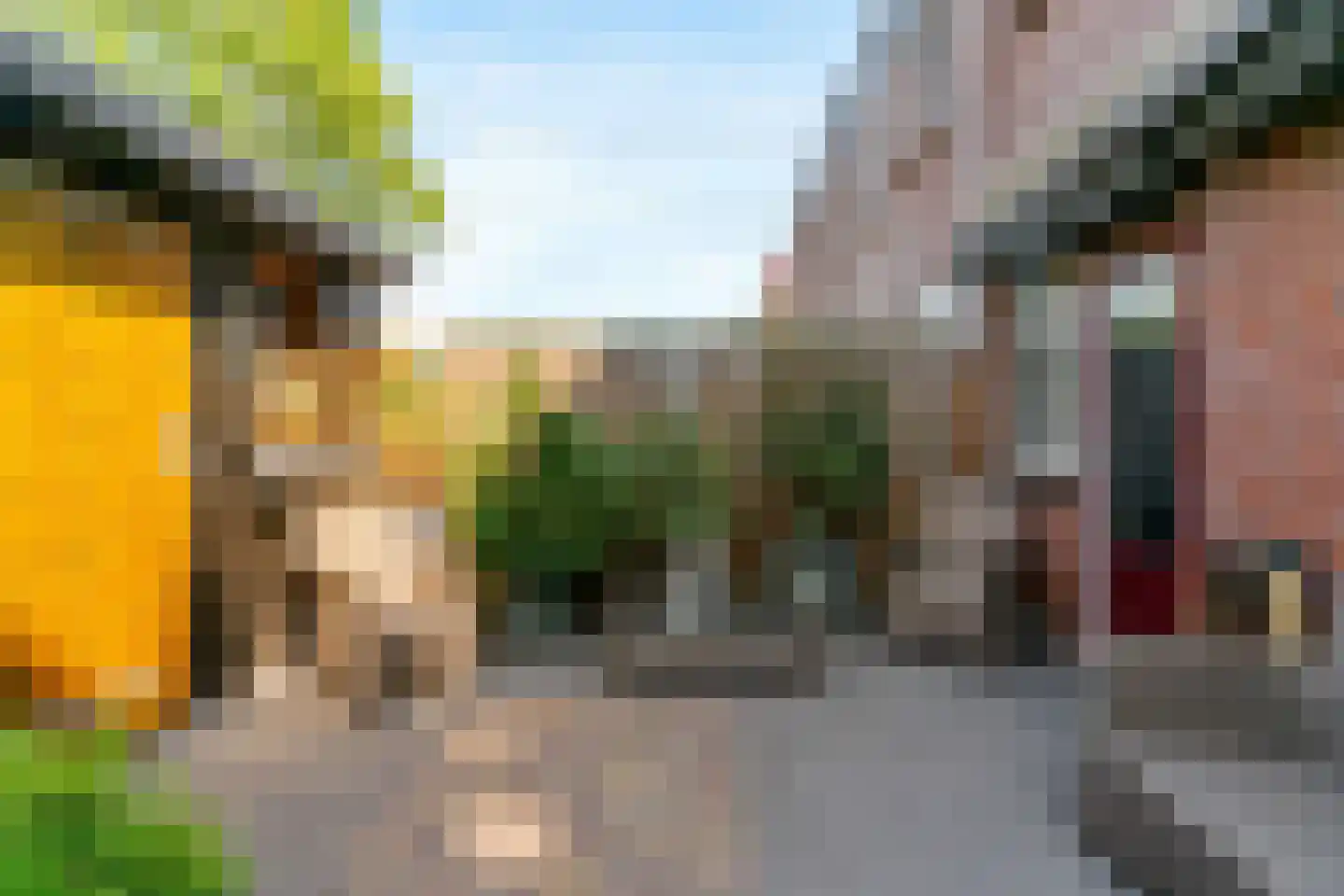 Paardebloem 10 Zwaag thumbnail 31