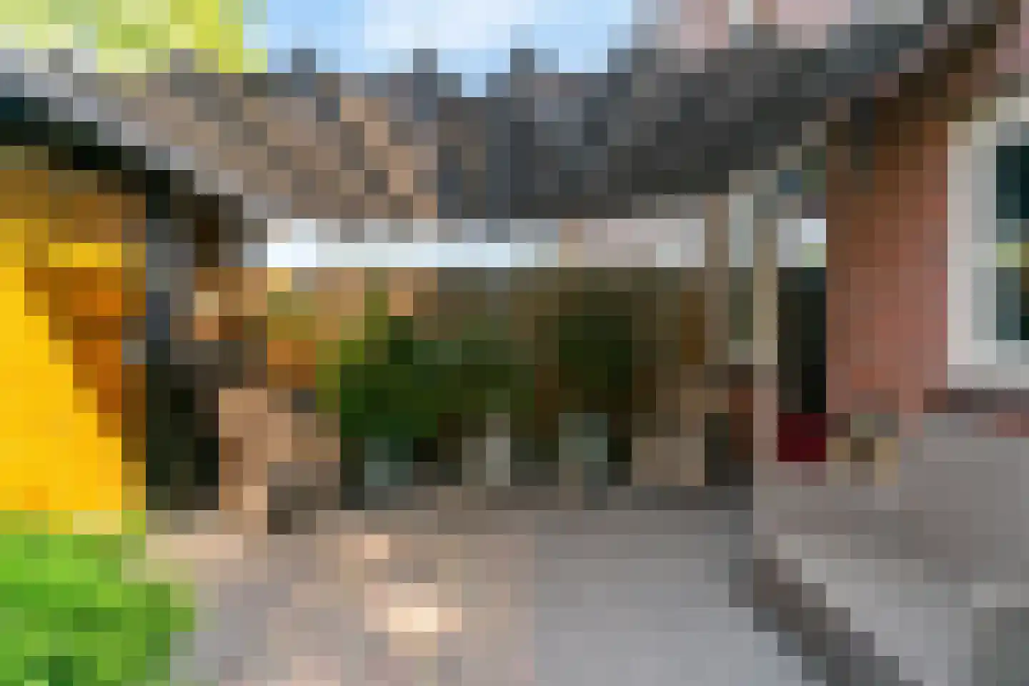 Paardebloem 10 Zwaag thumbnail 33