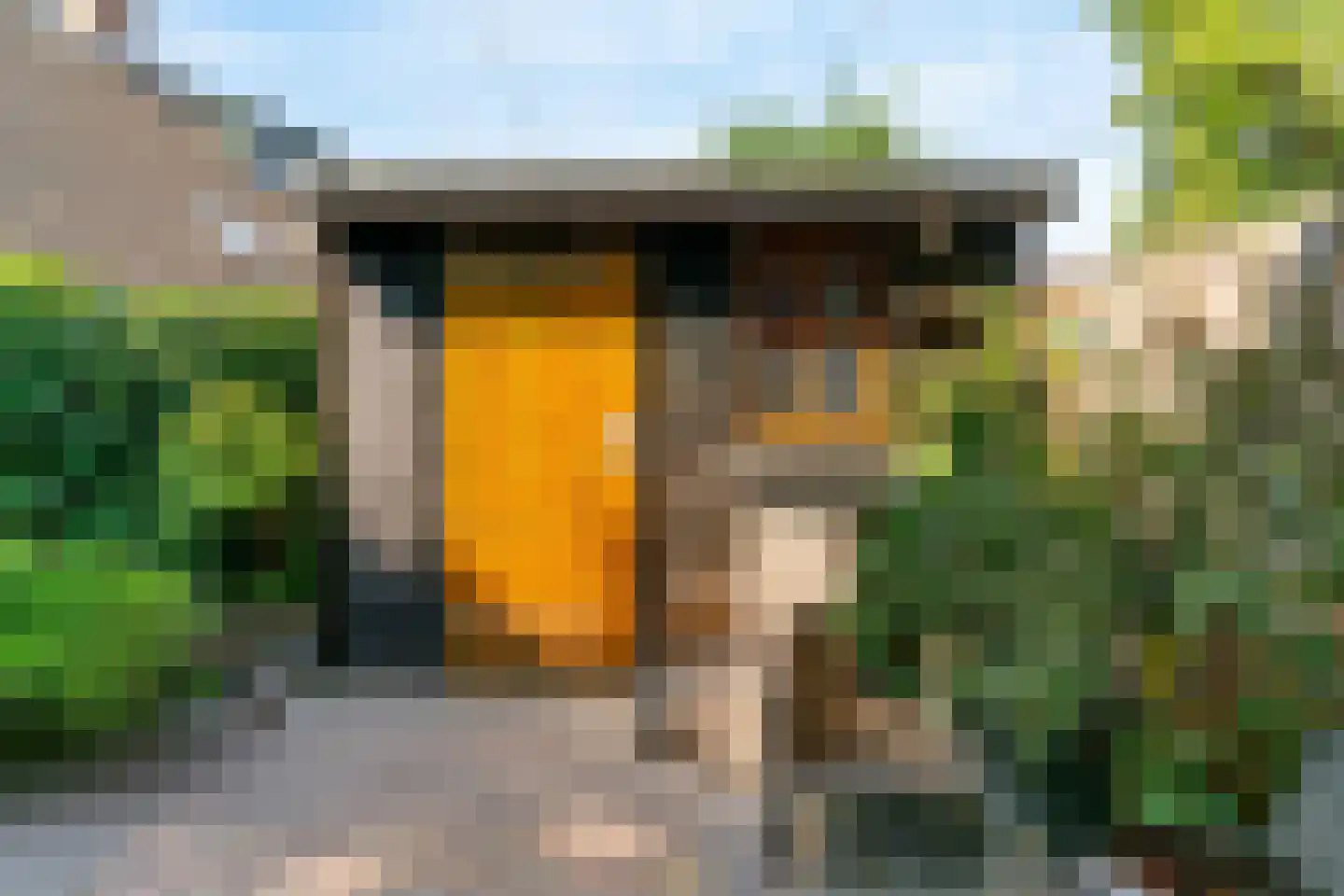 Paardebloem 10 Zwaag thumbnail 34