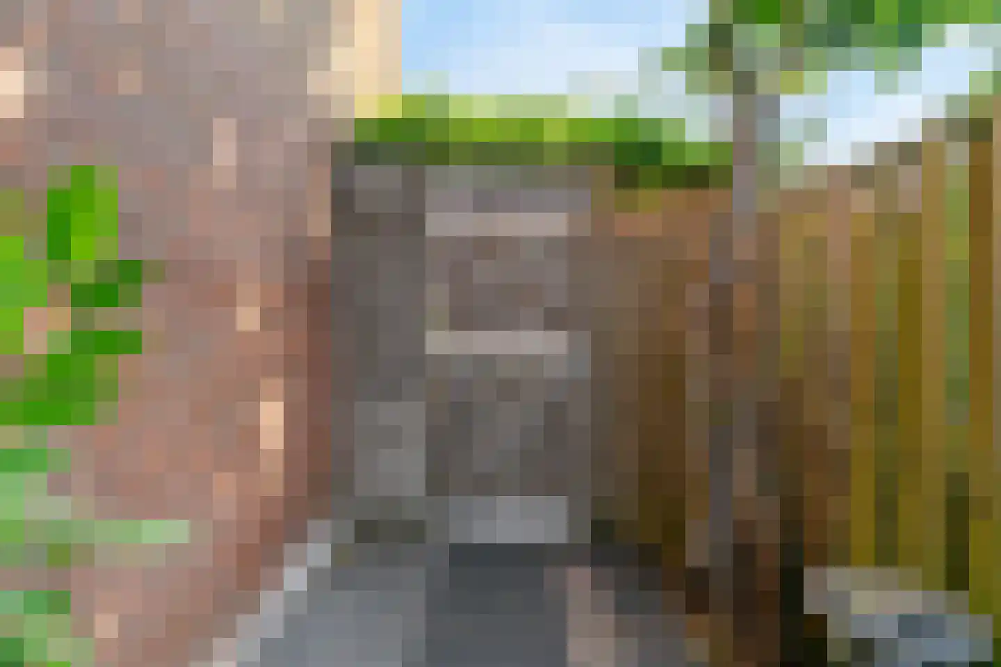 Paardebloem 10 Zwaag thumbnail 36