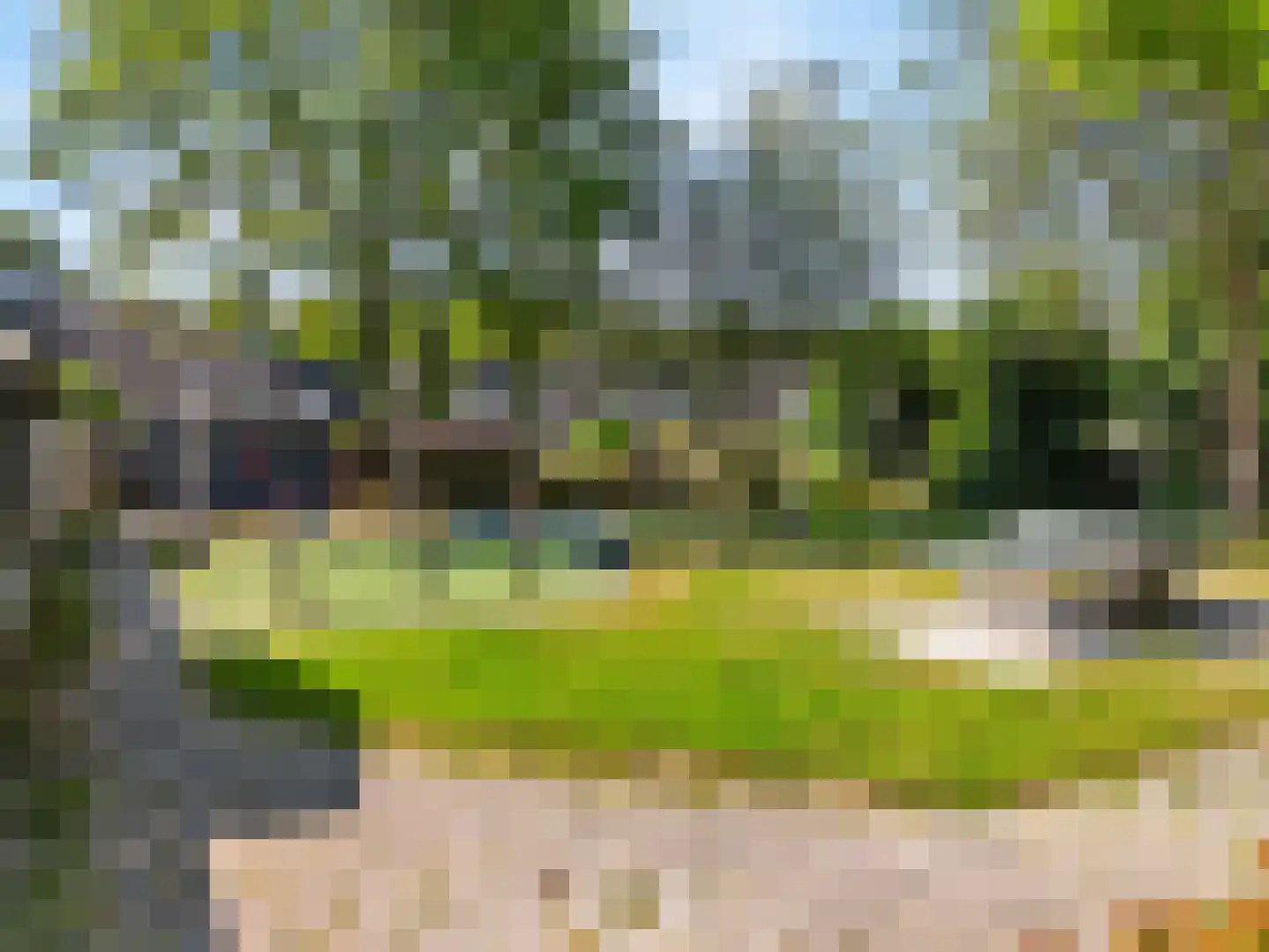 Paardebloem 10 Zwaag thumbnail 38
