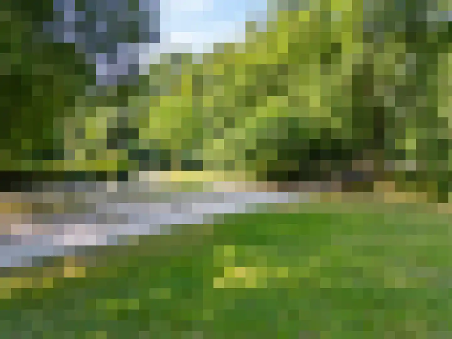 Paardebloem 10 Zwaag thumbnail 39