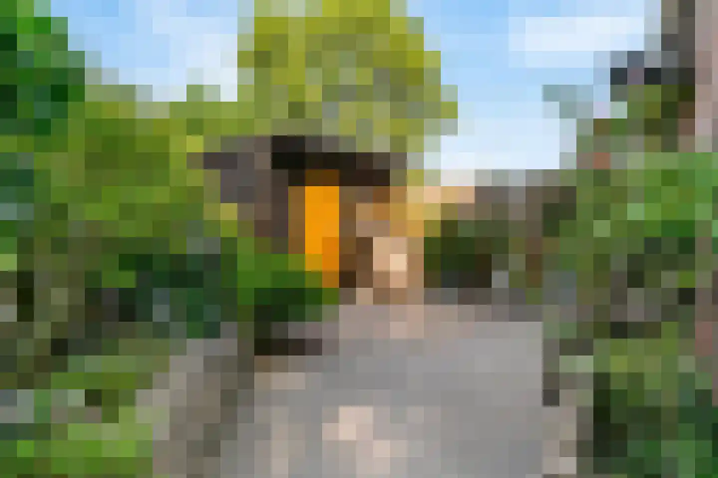 Paardebloem 10 Zwaag thumbnail 4