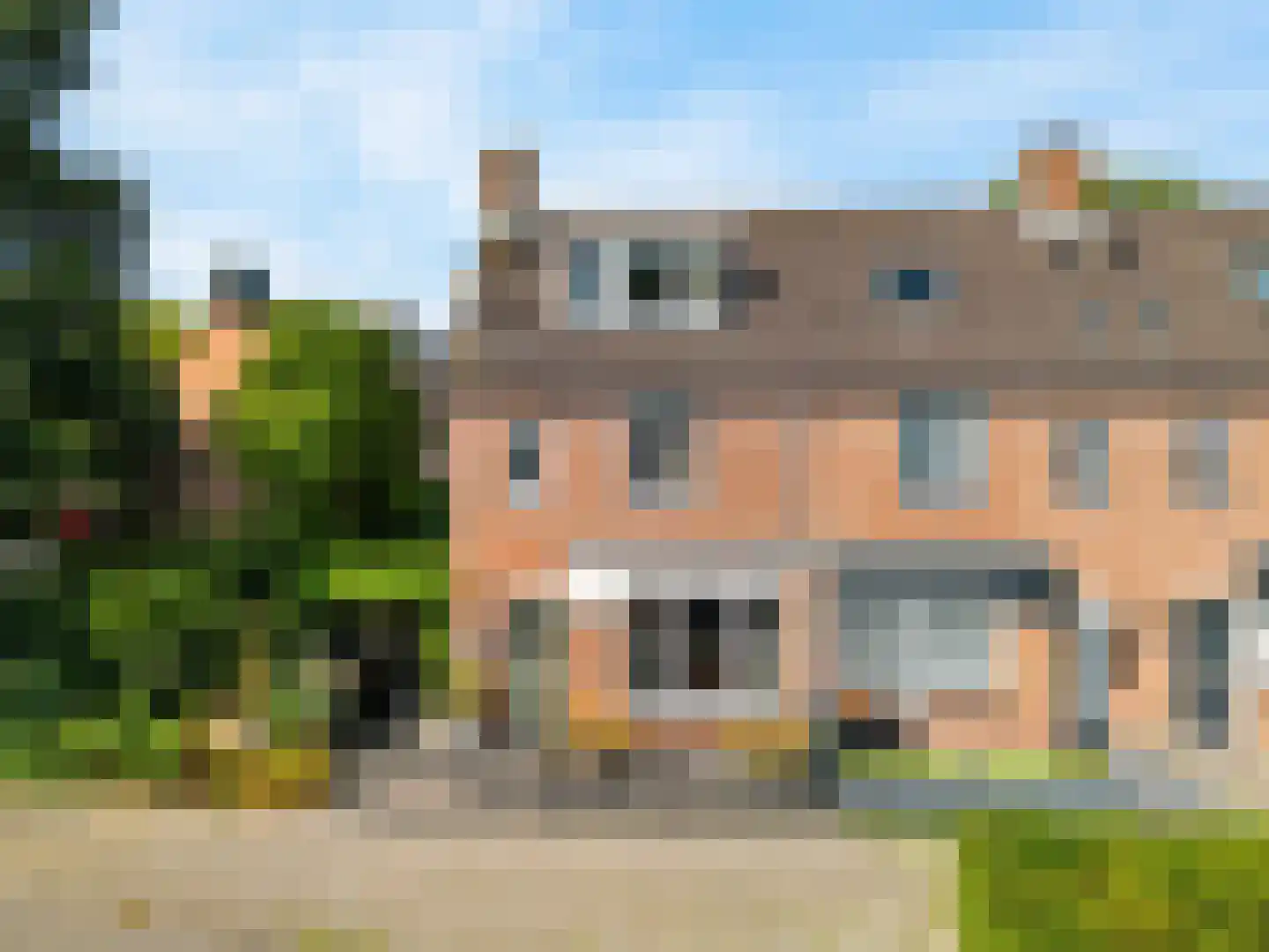 Paardebloem 10 Zwaag thumbnail 41