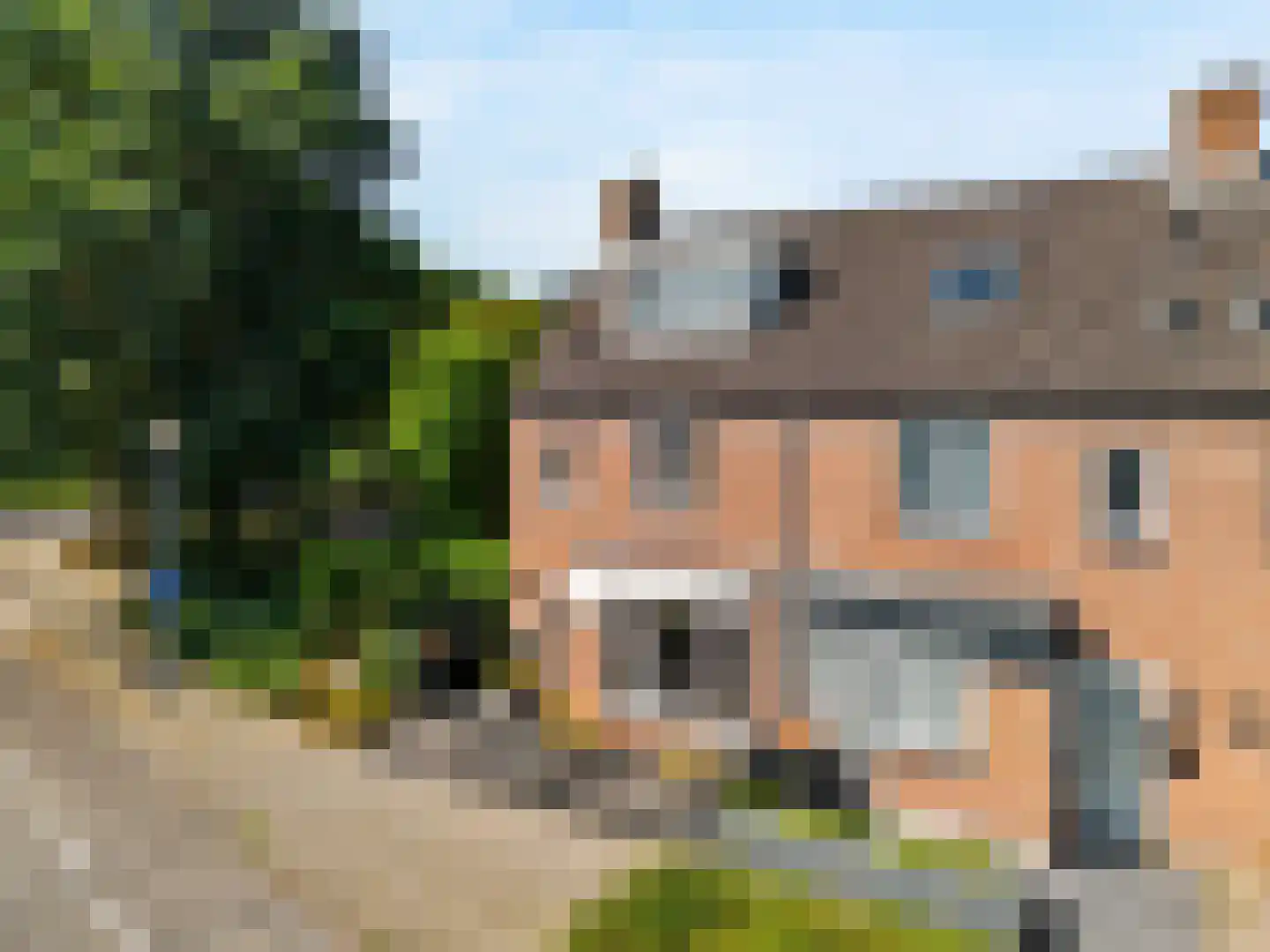 Paardebloem 10 Zwaag thumbnail 5