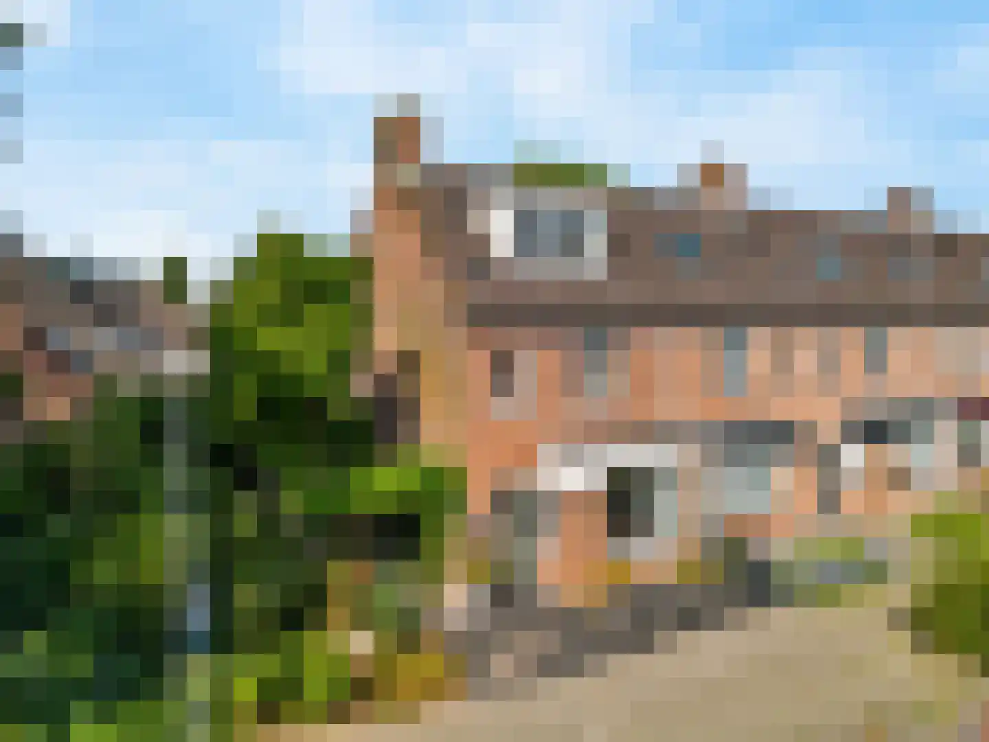 Paardebloem 10 Zwaag thumbnail 6