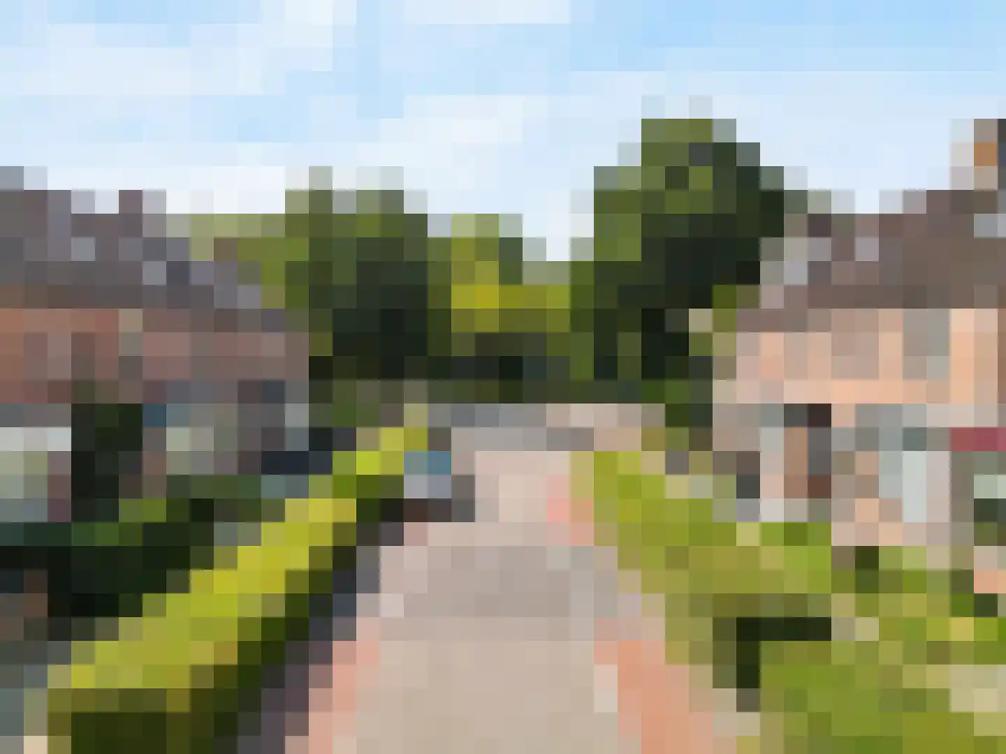 Paardebloem 10 Zwaag thumbnail 7