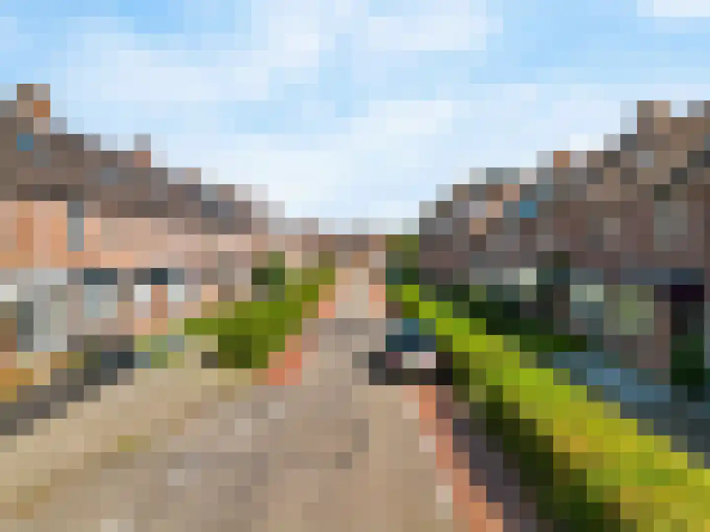 Paardebloem 10 Zwaag thumbnail 8