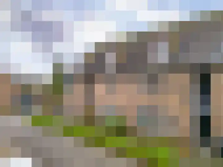 Paardebloem 105 Zwaag thumbnail 29