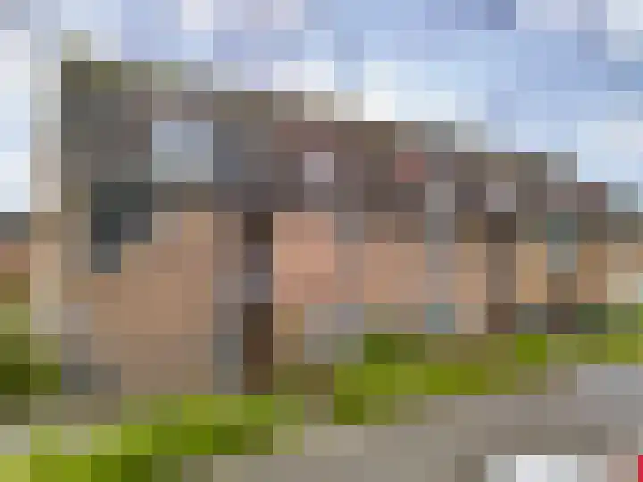 Paardebloem 105 Zwaag thumbnail 30