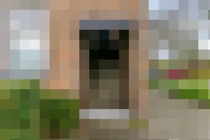 Paardebloem 105 Zwaag thumbnail 31