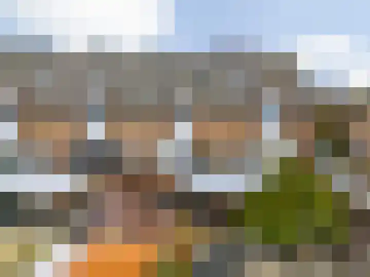 Paardebloem 105 Zwaag thumbnail 32