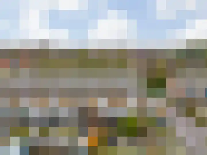 Paardebloem 105 Zwaag thumbnail 33