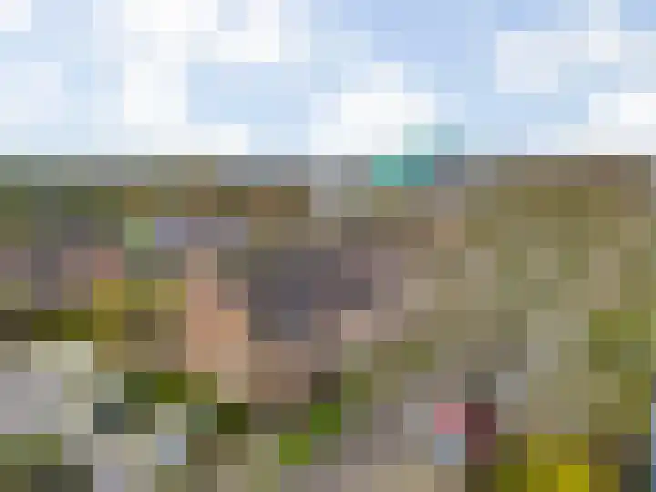 Paardebloem 105 Zwaag thumbnail 34