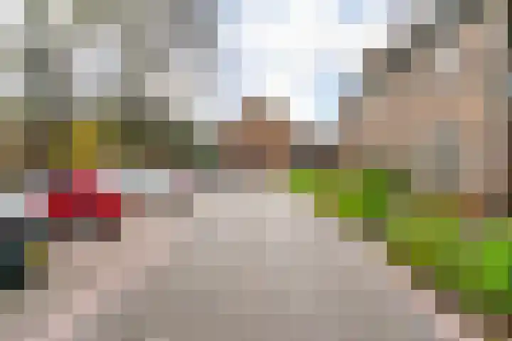 Paardebloem 105 Zwaag thumbnail 35