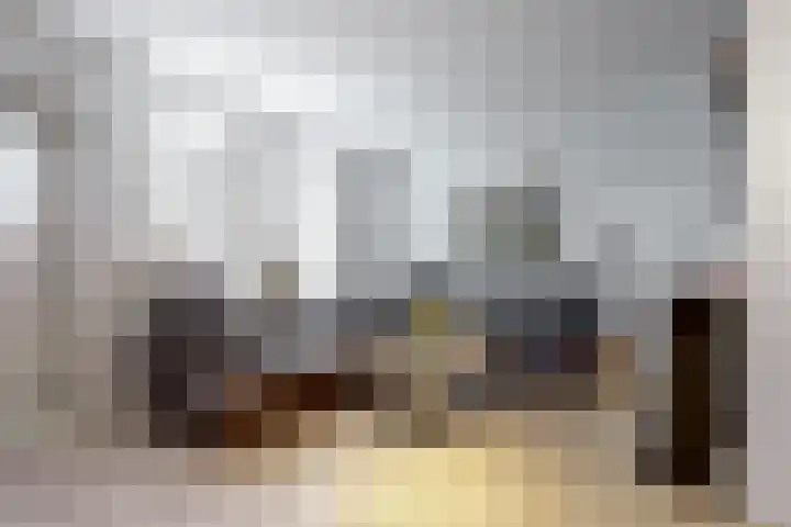 Paardebloem 105 Zwaag thumbnail 6