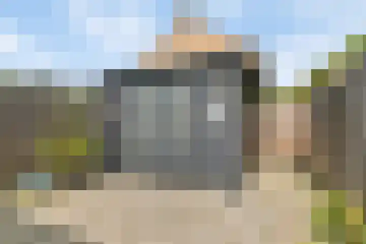 Paardebloem 11 Rotterdam thumbnail 10