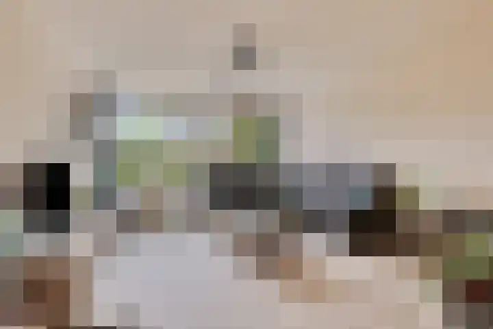 Paardebloem 11 Rotterdam thumbnail 13