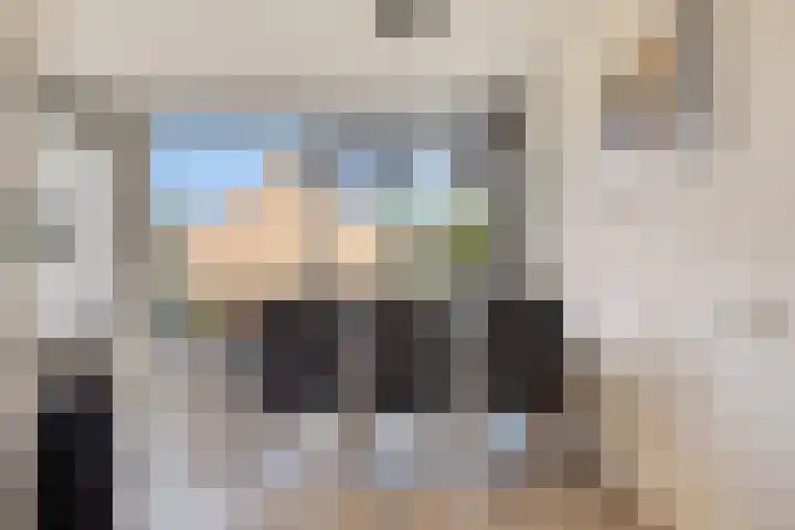 Paardebloem 11 Rotterdam thumbnail 15