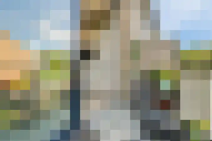 Paardebloem 11 Rotterdam thumbnail 19