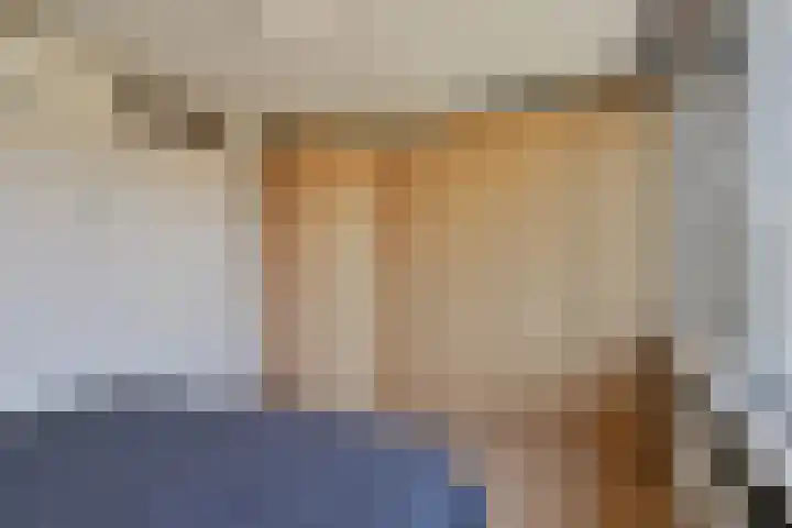 Paardebloem 11 Rotterdam thumbnail 23
