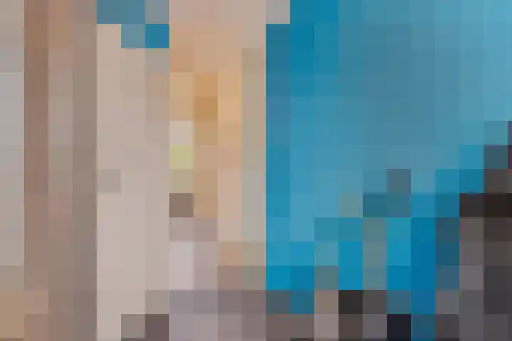 Paardebloem 11 Rotterdam thumbnail 28