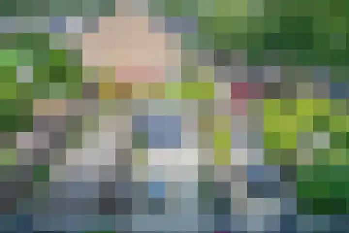 Paardebloem 11 Rotterdam thumbnail 31