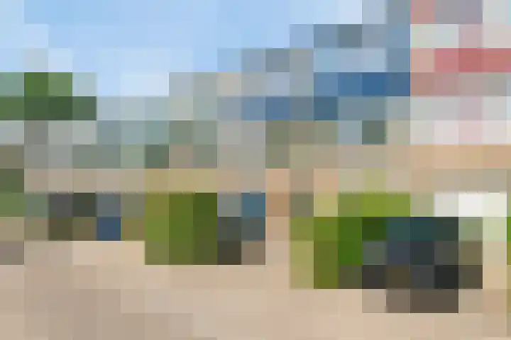 Paardebloem 11 Rotterdam thumbnail 32