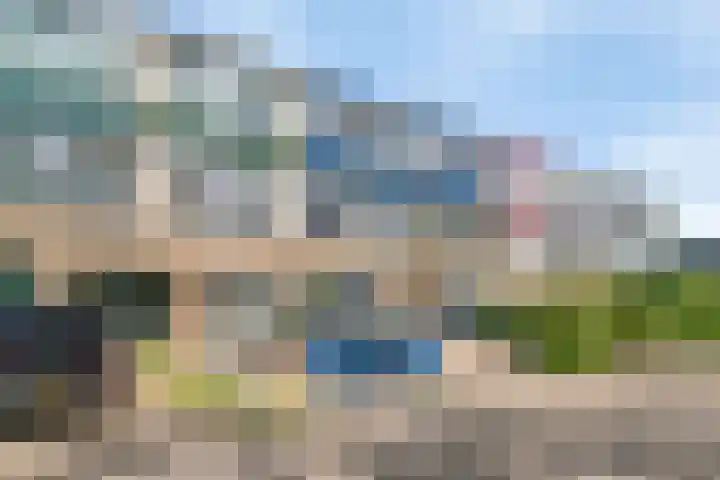 Paardebloem 11 Rotterdam thumbnail 33