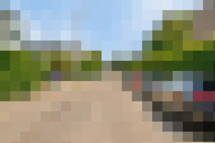 Paardebloem 11 Rotterdam thumbnail 34
