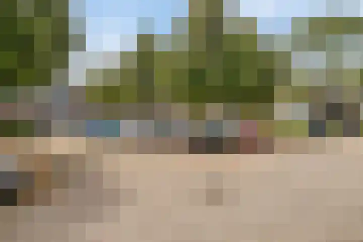 Paardebloem 11 Rotterdam thumbnail 35