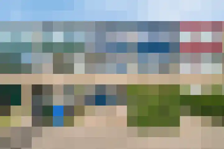 Paardebloem 11 Rotterdam thumbnail 39
