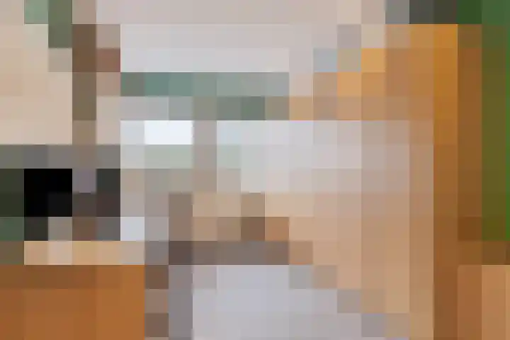 Paardebloem 11 Rotterdam thumbnail 5