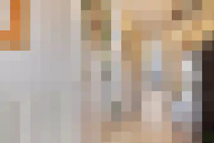 Paardebloem 11 Rotterdam thumbnail 7