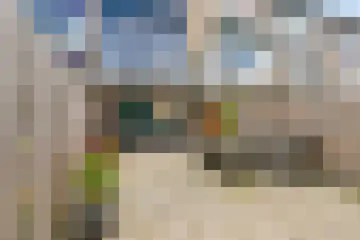 Paardebloem 11 Rotterdam thumbnail 8