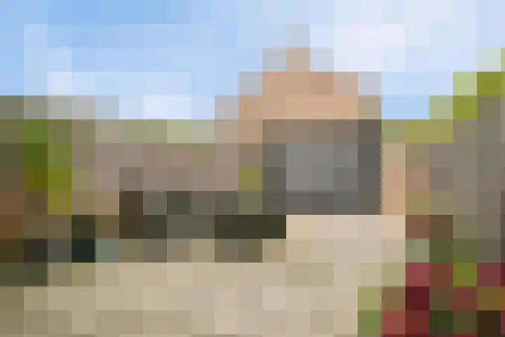 Paardebloem 11 Rotterdam thumbnail 9