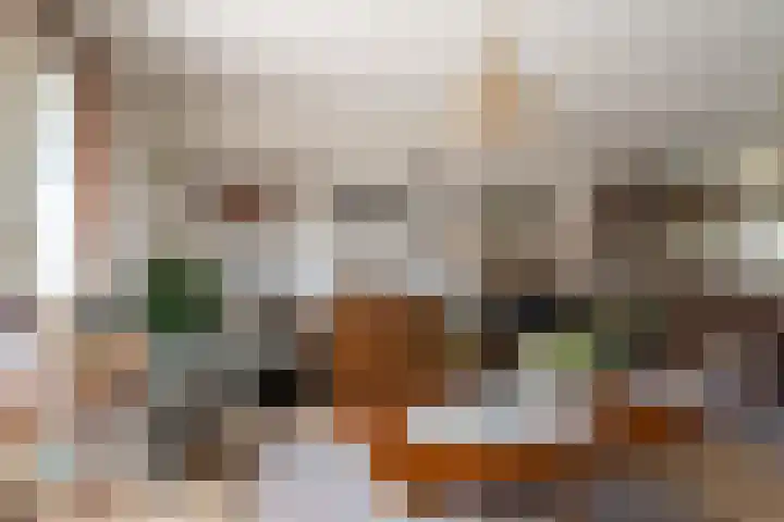 Paardebloem 12 Dongen thumbnail 17