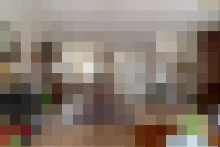 Paardebloem 12 Dongen thumbnail 18
