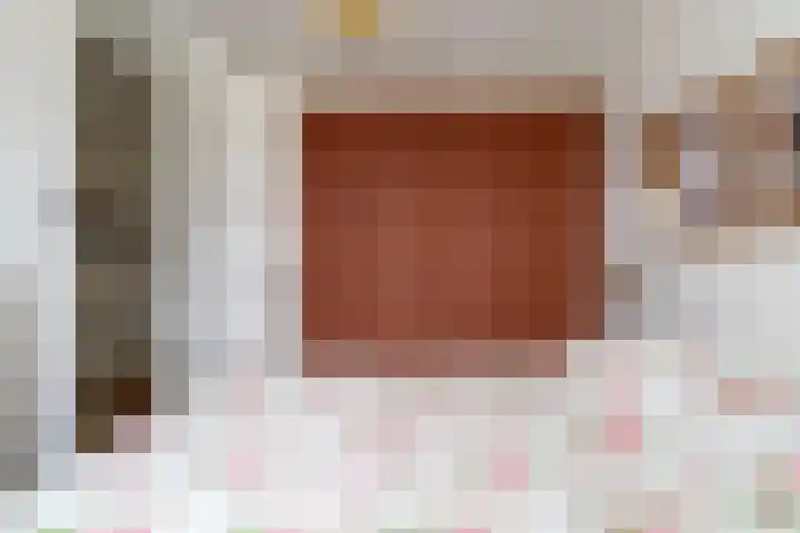 Paardebloem 12 Dongen thumbnail 24