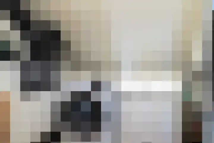 Paardebloem 12 Dongen thumbnail 27