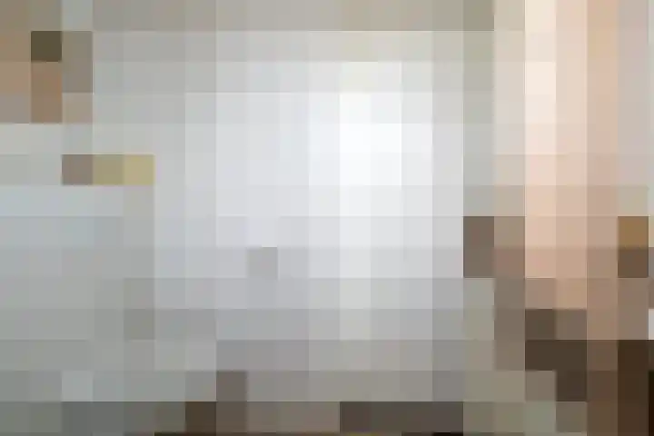 Paardebloem 12 Dongen thumbnail 30